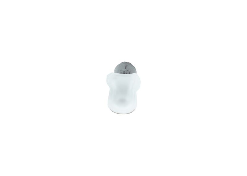 Article Picture