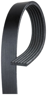 Gates V-Ribbed Belt 6PK1695
