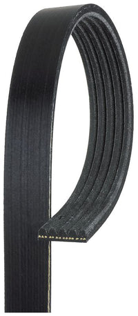 Gates V-Ribbed Belt 5PK874RPM