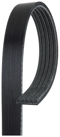 Gates V-Ribbed Belt 5PK1170