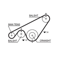 Gates Timing Belt T174