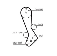 Gates Timing Belt T885