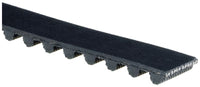 Gates Timing Belt T081