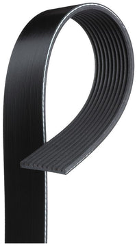 Gates V-Ribbed Belt 10PK1110