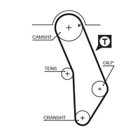 Gates Timing Belt T292
