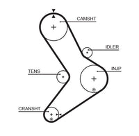 Gates Timing Belt T1555