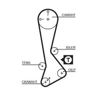 Gates Timing Belt T818