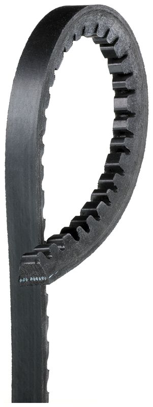 Article Picture