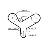 Gates Timing Belt T146